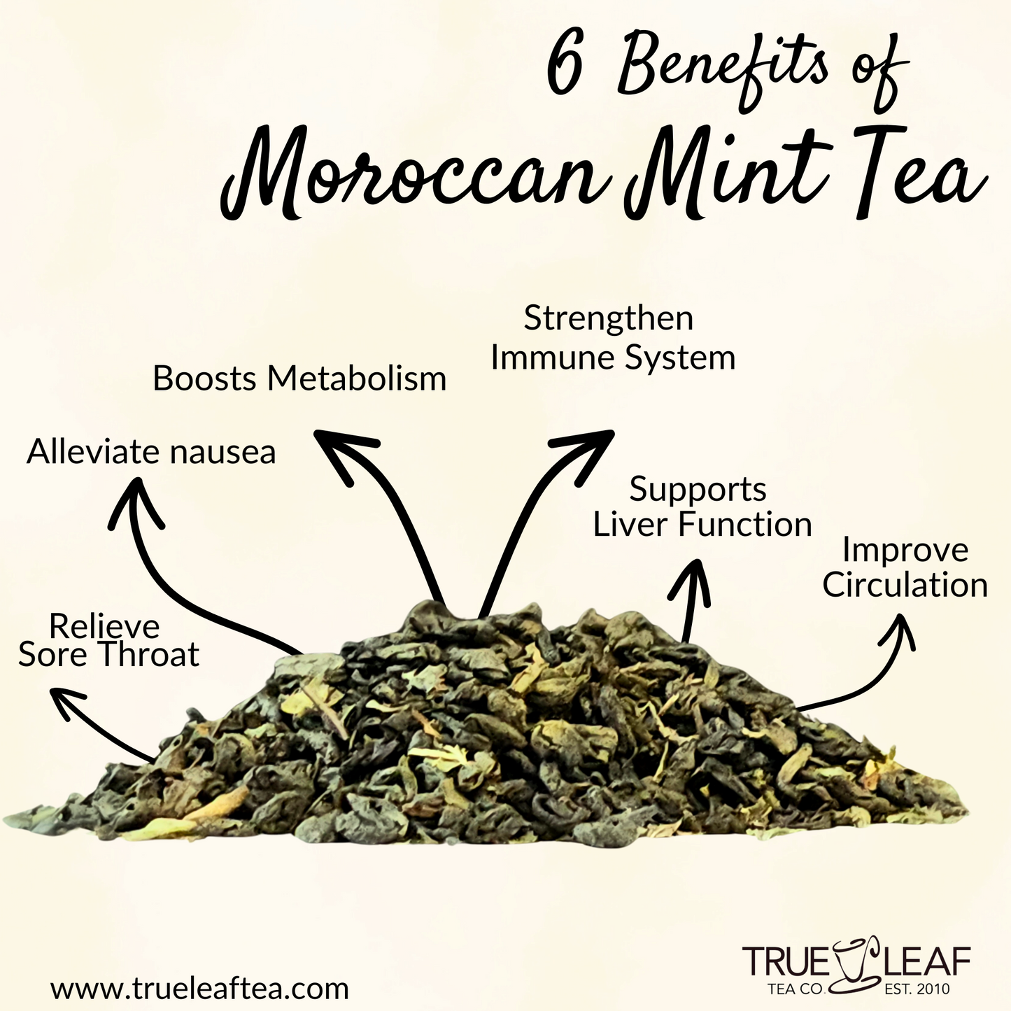 Organic Moroccan Mint - 4 oz