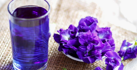 Butterfly Pea Syrup